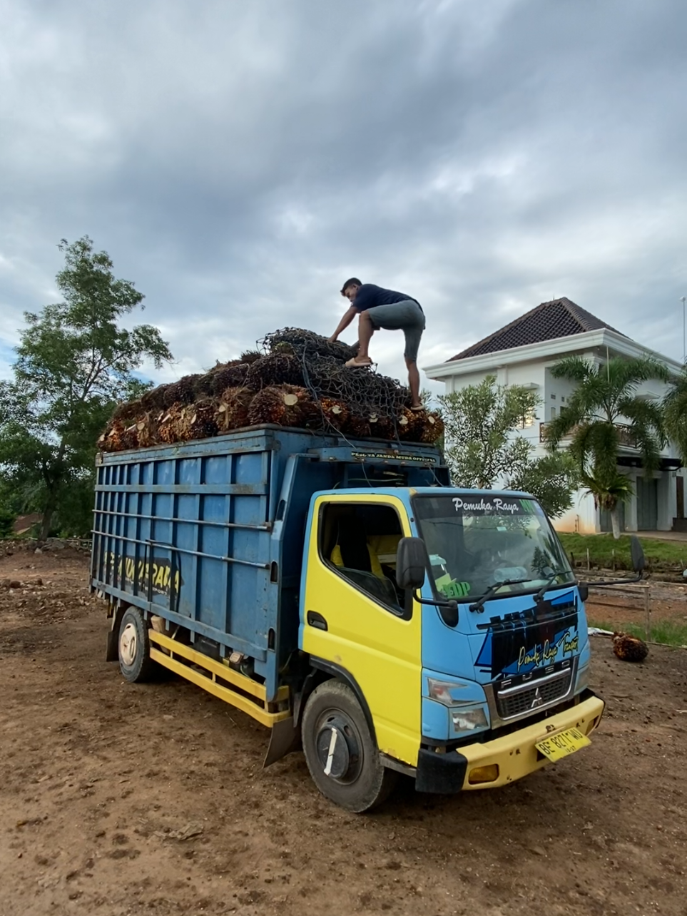 wes wayahe syuting @anjas.asmara49 #pemukaraya #fypシ゚ #cantermaniaindonesia #sawit #kurirsawit 