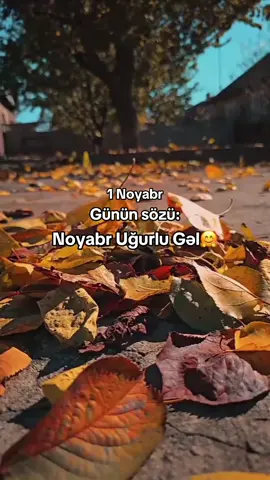 #qadin_bir_kitabdir #kesfet #yazili_videolar #gününsözü #noyabr 