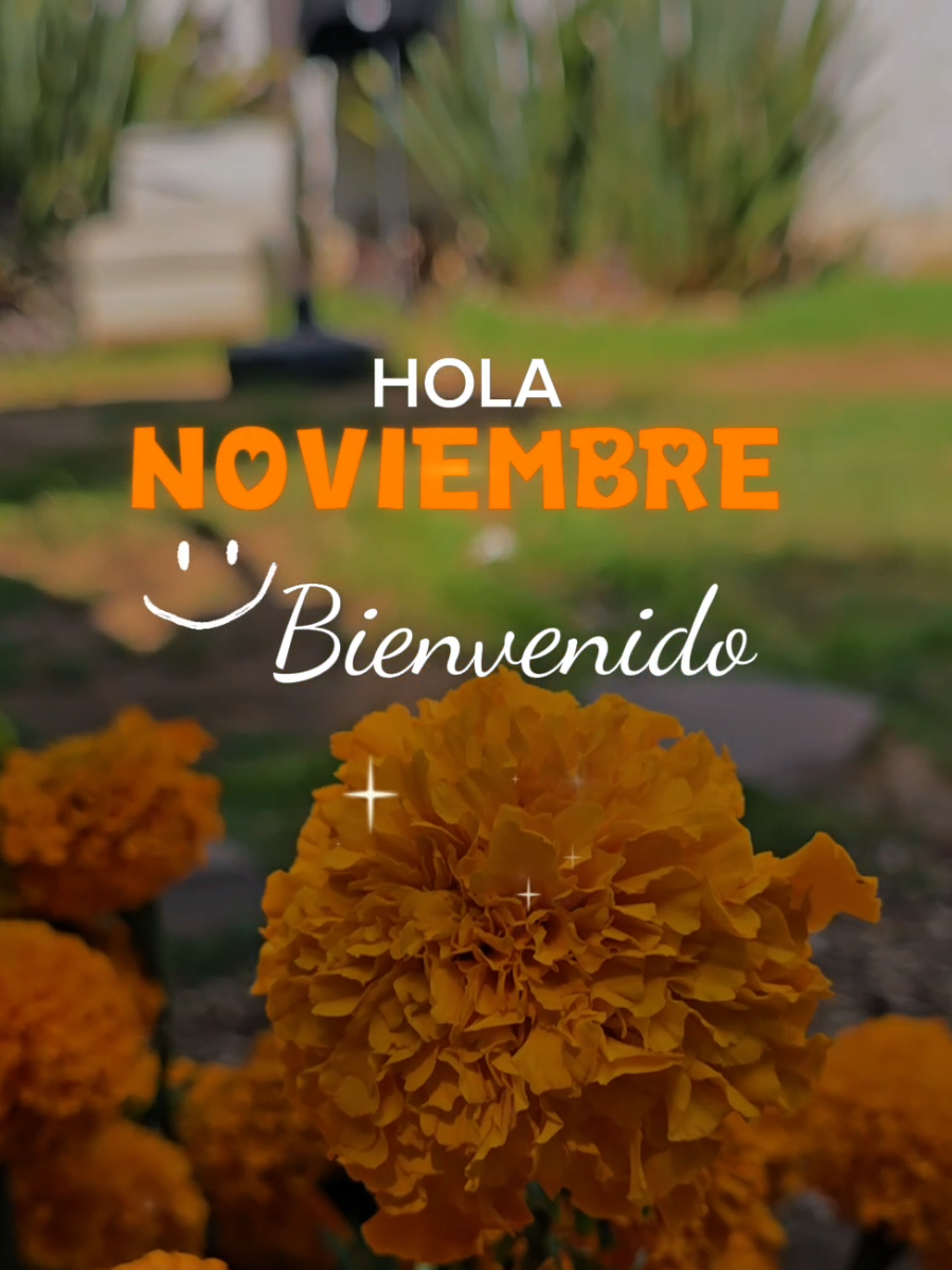 #motivacion #frases #nuevomes #noviembre #holanoviembre 