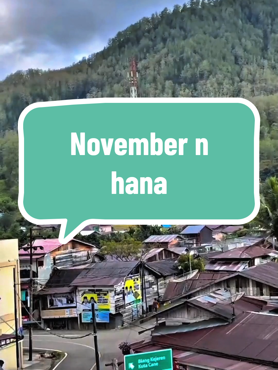 NOVEMBER N HANA #katagayo #lagugayo #ftvgayo #gayo #fyp 
