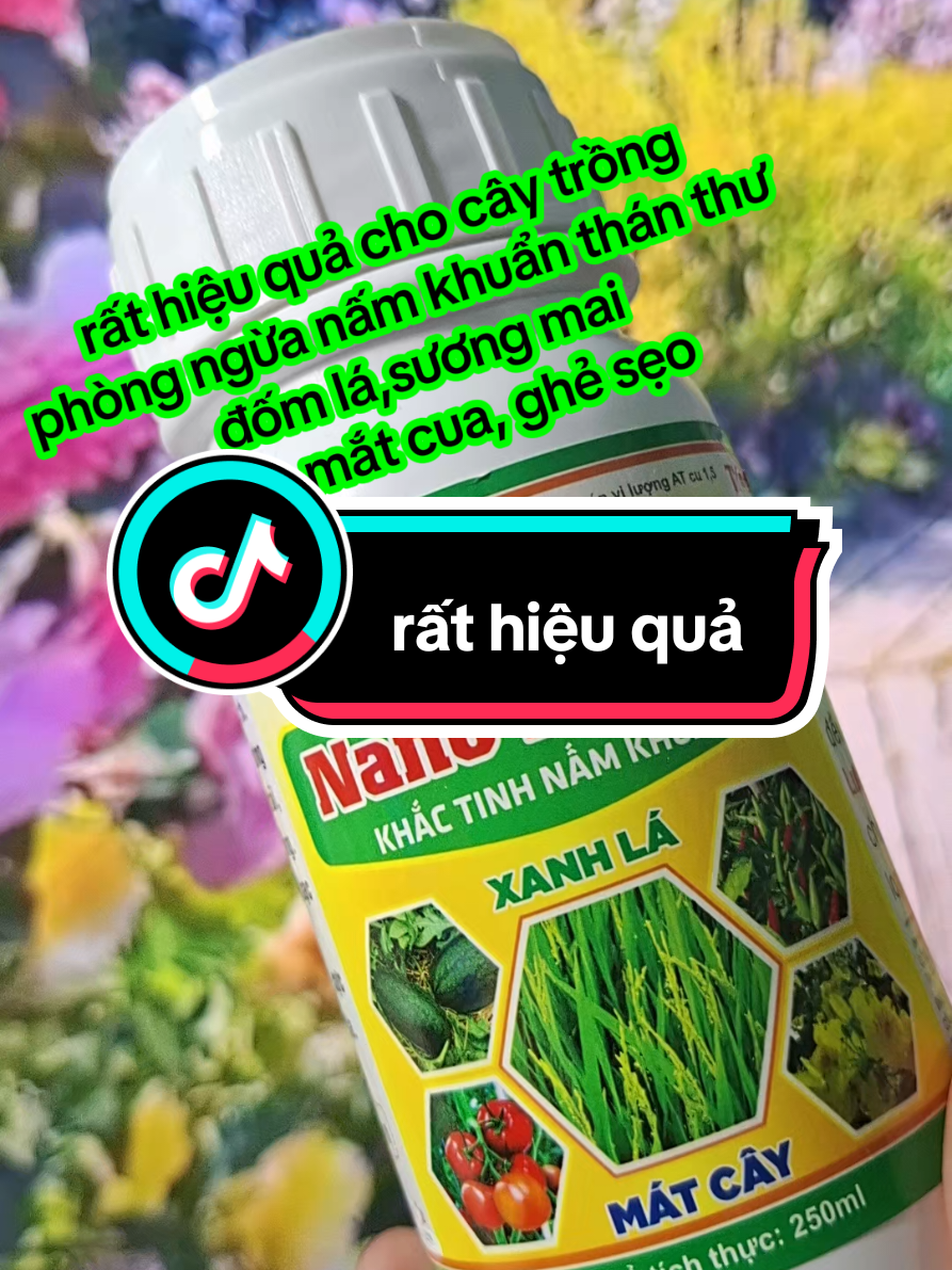 phòng ngừa nấm bệnh cho cây trồng #nanodong #phanbonhuuco #phanbonla 
