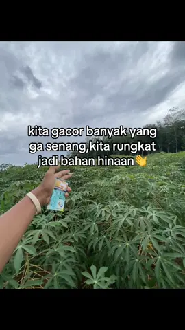 #katakataremiklampung #lewatberandafyp #fyp #remiklampungvirall #xybca @Mexsa_🗿 @rofasallendra 