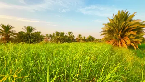 ممكن لايك متابعه #تصويري_احترافي_الاجواء👌🏻🕊😴 #متابعه_ولايك_واكسبلور_احبكم #تصميم_فيديوهات🎶🎤🎬 #ياعلي #ياعلي_دخيلك_تسمعني_وادري_ماتخيبني 