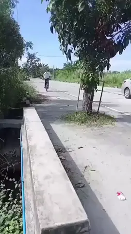 #fyp #viral #foryou #meme #urbanlegend 