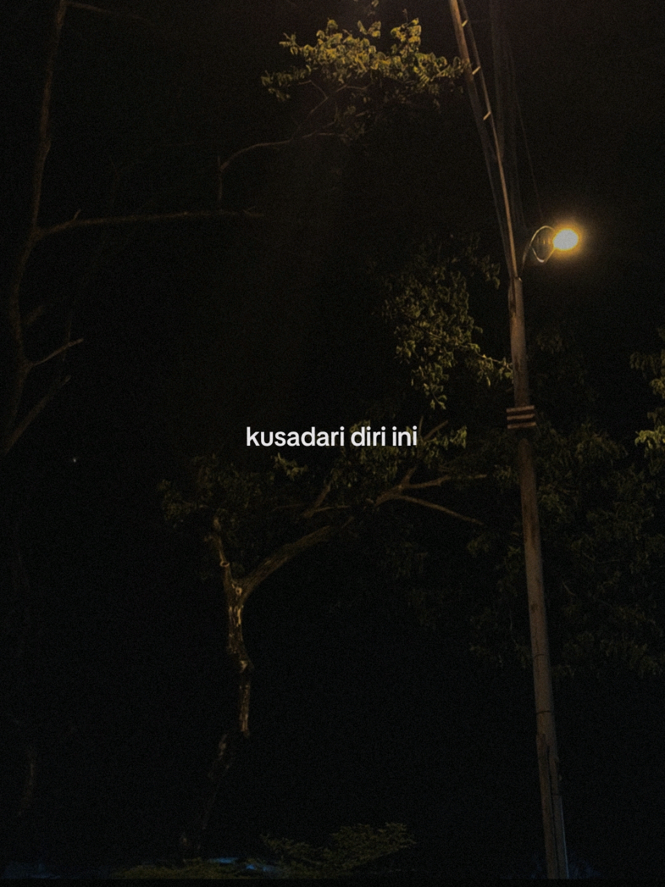 kukira lagu, ternyata kisah ku #salahiakukujatuhcintalagi #ronyparulian #fypシ゚ #4u #liriklagu 