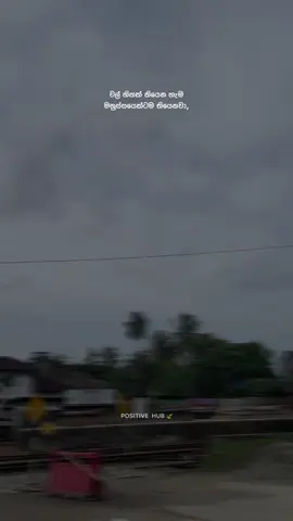 🌚😅. #creatorsearchinsights #sinhalaquotes #funnyquotes #comedy #whatsappstatus 