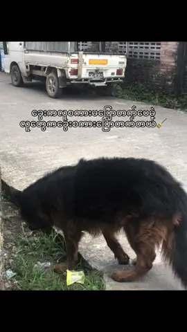 😃#crdစာသား #frypgシ 