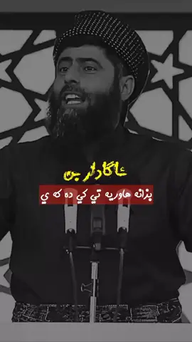 #في هذا اليوم 