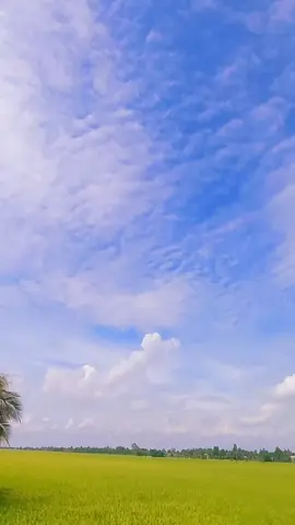 #tiktok #canhđepthiennhienvungque ## #nhackhongloi ###