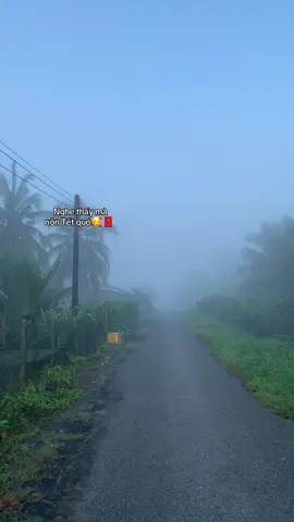 Hứa hẹn Tết 2026 sẽ như Tết 2018 #xhhhhhhh #tt #tet2026🎆🧨 #tet2018 