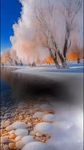 #آيات_قرآنية #آيات_القرآن 