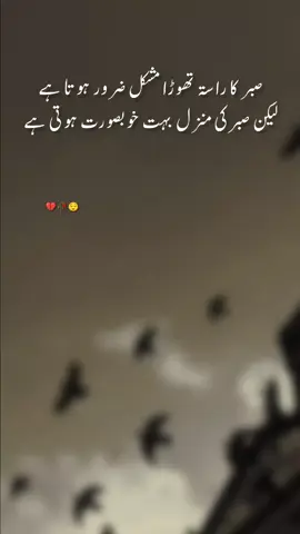#Deep #lines🔥 #viralvideo #Deep #lines🔥 Urdu Lines viral video Urdu poetry 🔥🔥🔥🔥