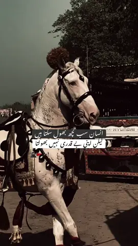 HAN G💀.        #foryoupage #viralditiktok #poetrystatus #lines🔥 #unfreezemyaccount 