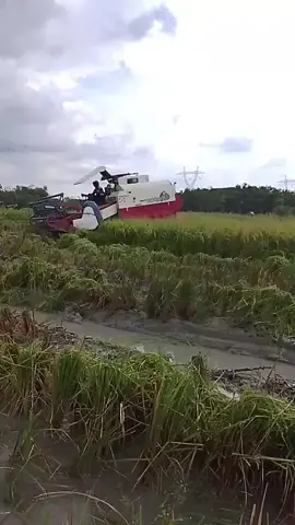 panggah di goyang to jiiiiiii