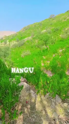 1000million #viralvideo #post #shar #Ismail #♥️👈👈👈👈♥️♥️♥️♥️♥️♥️♥️♥️♥️♥️👈 #hangu #plazz 