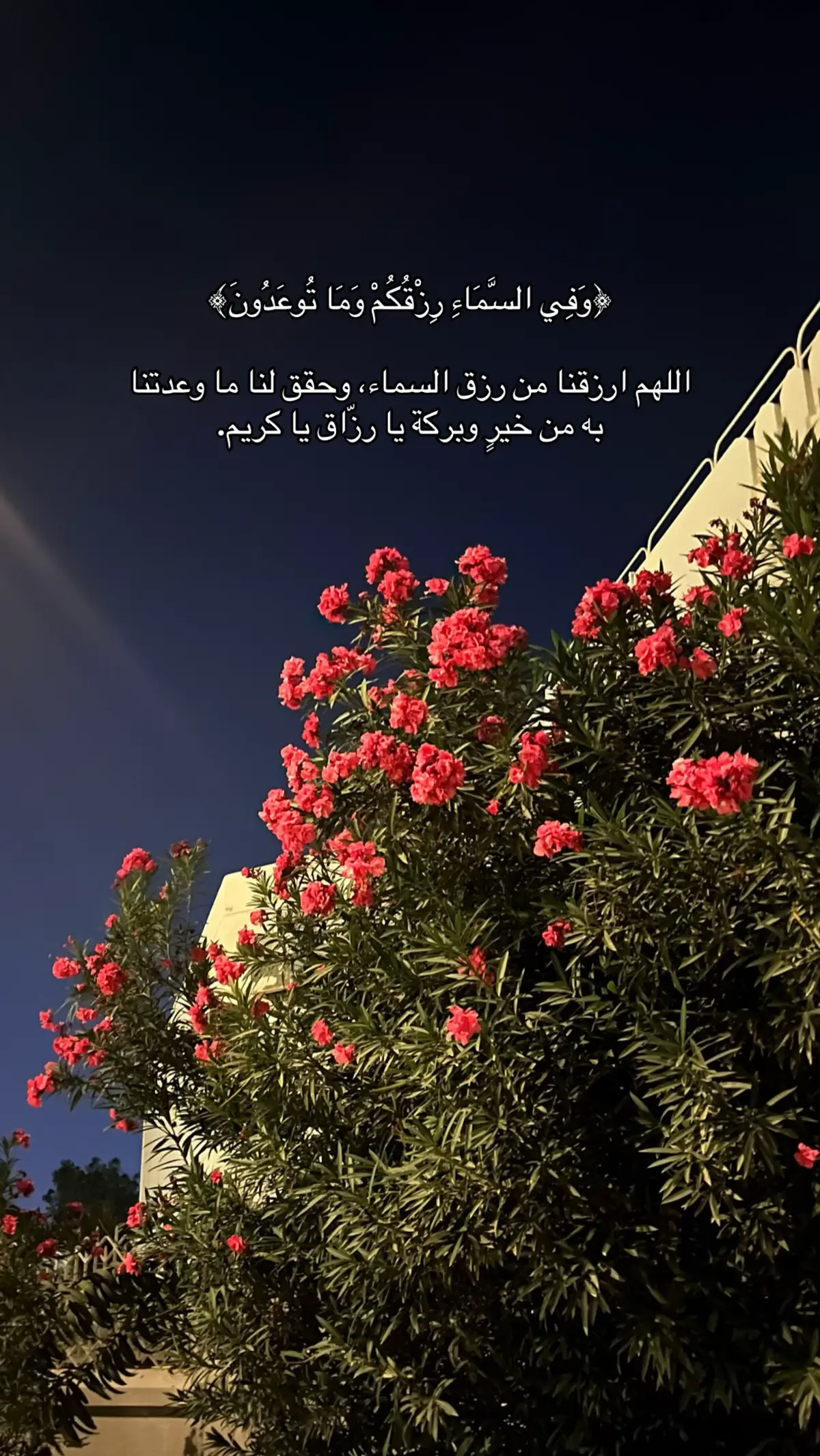 #fyp #explore #quran #صدقة_جارية #اللهم_صلي_على_نبينا_محمد 