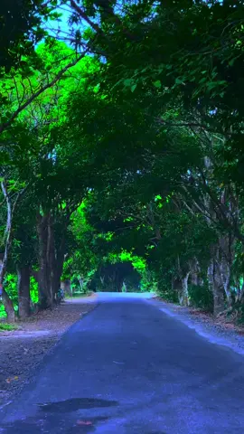 #❤️ #uae #colorsofnature #foryoupage #❤️❤️ 