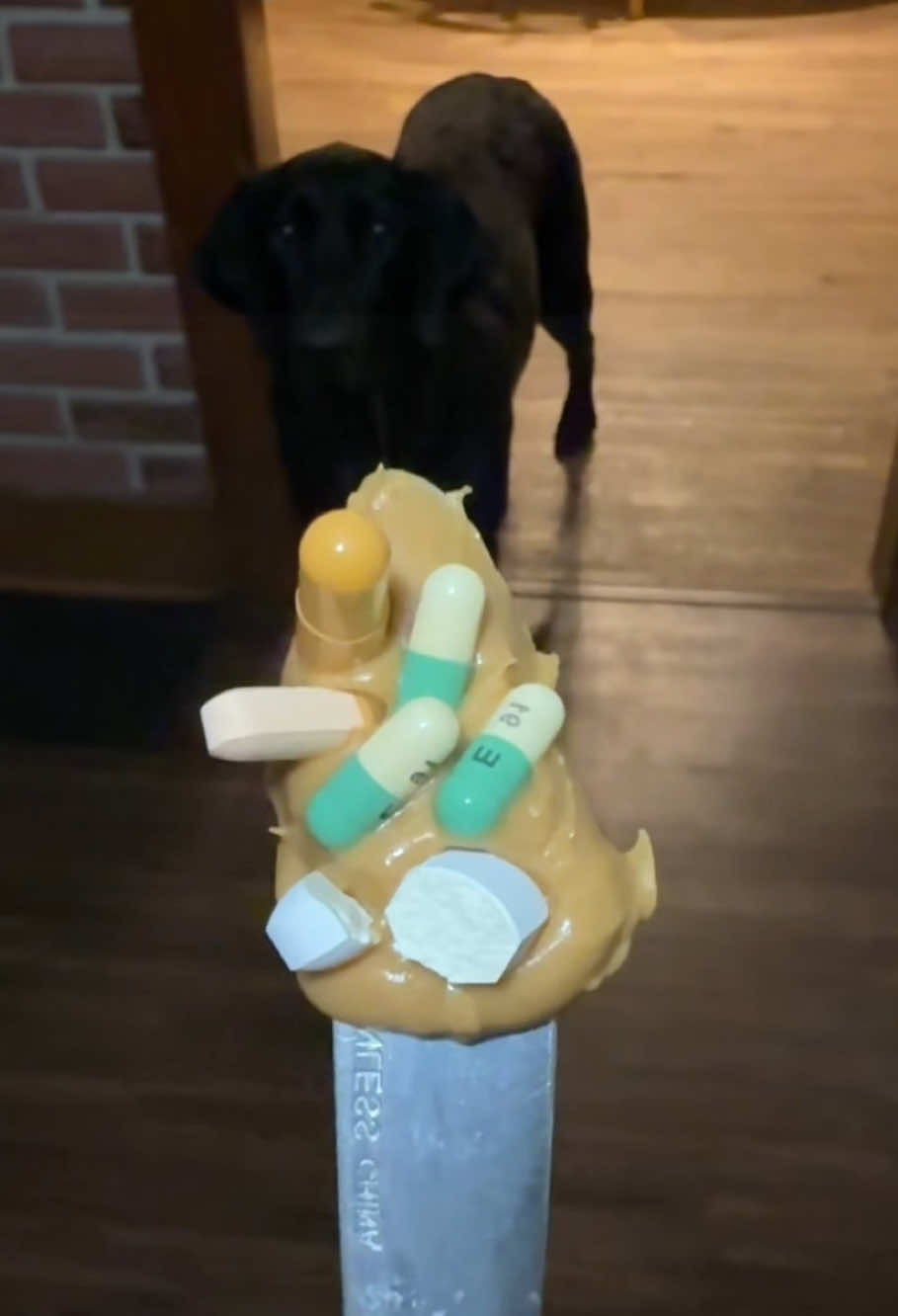 A spoonful of completely normal peanut butter🤣#funnydog #dogsoftiktok #dogbehavior #fyp #foryou #viral