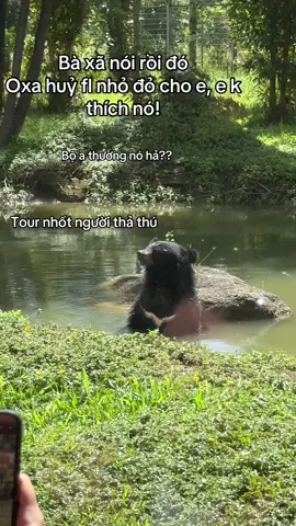 Anh đi Tour nhốt người thả thú thì em sẽ không huỷ hôn Tại Vinpearl Safari Phú Quốc #GreenCreator #VinWonders #dulich #ffzh5h6 #VinpearlSafariPhuQuoc