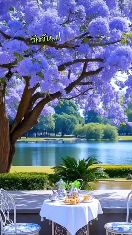 #แทรนวันนี้ #เพลงเก่าเพราะๆ #เพลงเก่าที่คิดถึง #เพลงเพราะ #ขอบคุณเสียงต้นฉบับ 