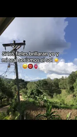 #fieles #infiles #mireal #videoparadedicar #videosparadedicar 