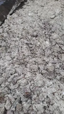 #ржд#путейцы#работаем 