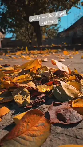 #ضوجه_ودنيا_عوجه😂😂 #الشعب_الصيني_ماله_حل😂😂 #عباراتكم_الفخمه📿📌 #واحد_عراق_والاول_ع_الشرق_الاوسط☠️ #الحمدالله_علی_کل_حال❤ 