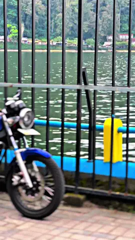 Gamon gaharus cinta kan❤️‍🩹 #rxking #rxking135cc #rxkingganteng #fypage #viral 