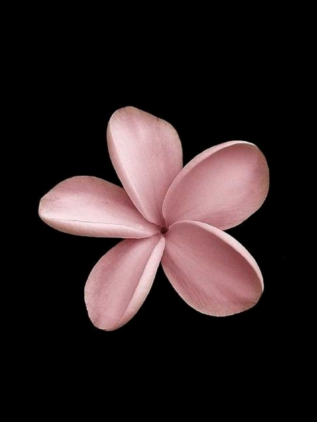 for the last time »»» آهنگایه روسی🛐✨😭 فالو کن اگه دنبال ترجمه هستی:)  .  .  .  #lyrics #lyricvideo #music #fyp #foryou #persianmusic #songlyrics #sadvibes #tiktokmusic 