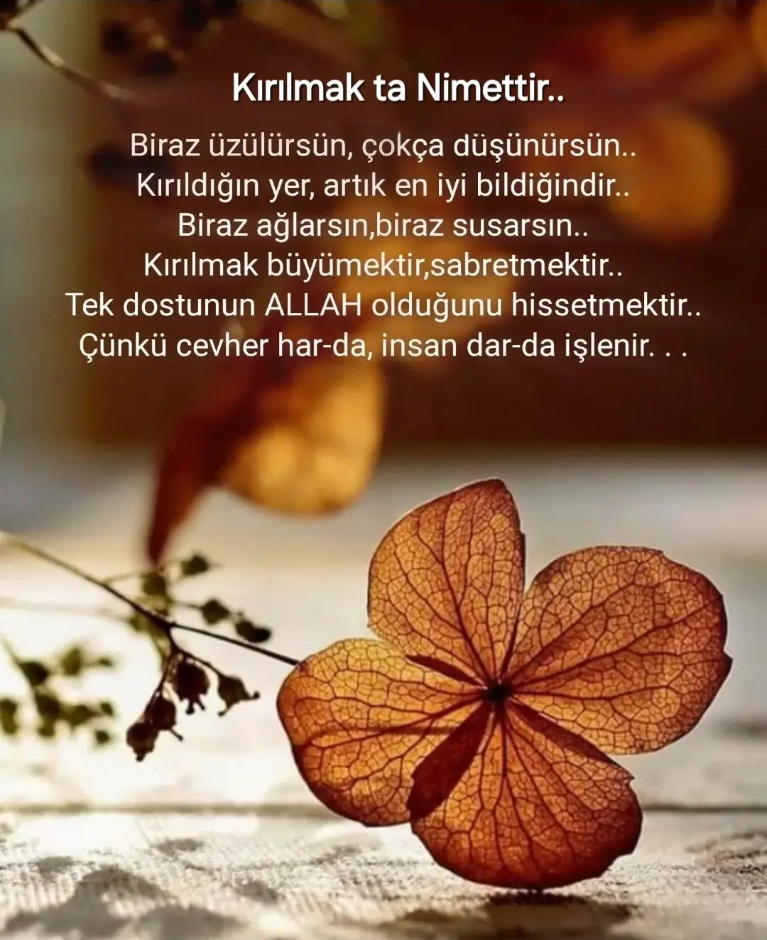 Günaydın Mutlu Hafta Sonu Diliyorum...