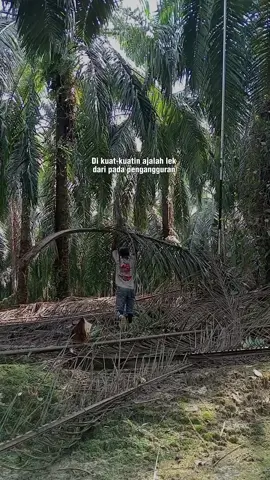 #CapCut #sawitriau #sawitontiktok #semuaorang #pesonakulisawit🤟🥴😜🥵 