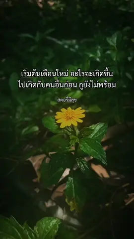#ยืมลงสตอรี่ได้ #สตอรี่ความรู้สึก #สตอรี่มีสุข #สตอรี่ #เธรดความรู้สึก 