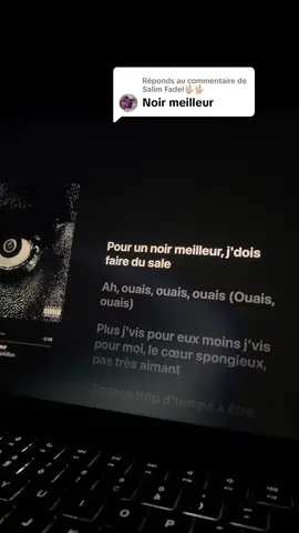 Réponse à @Salim Fadel🖖🏼🖖🏼  Lithopedion un projet mal aimé  Si tu veux que je fasse un son que t’aime bien dis le moi en commentaire  #chanson #paroles #damso #noirmeilleur 