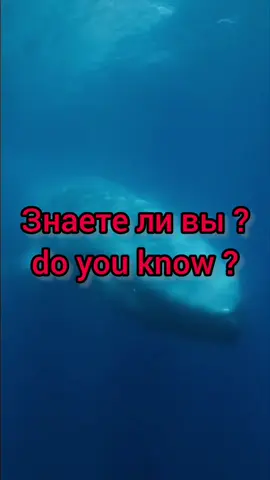 #nature #ocean #animals #дикаяприрода #развитие 