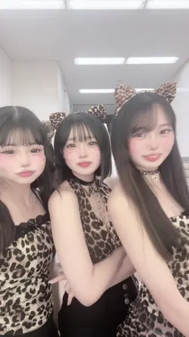 今年はひょう猫でした😽❤️‍🔥 #おすすめ #淀川清流 #大高 #摂津jk #高二 