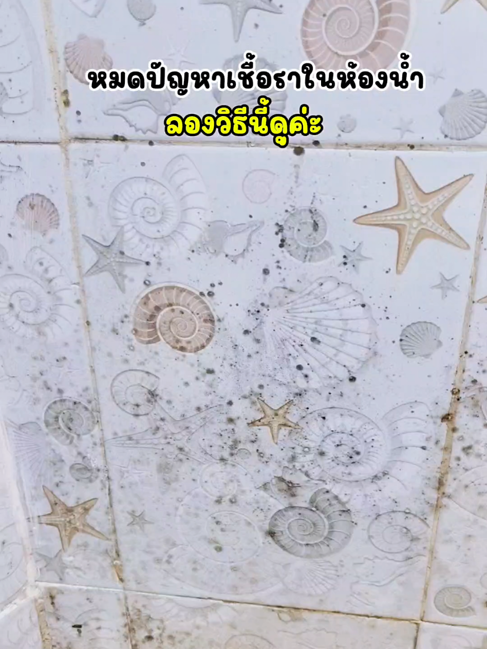 จำกัดเชื้อราในห้องน้ำออกง่าย ด้วยวิธีนี้ #เชื้อราในห้องน้ํา #ห้องน้ํา #งานบ้านที่รัก #แม่บ้าน #เทคนิคดีบอกต่อ 