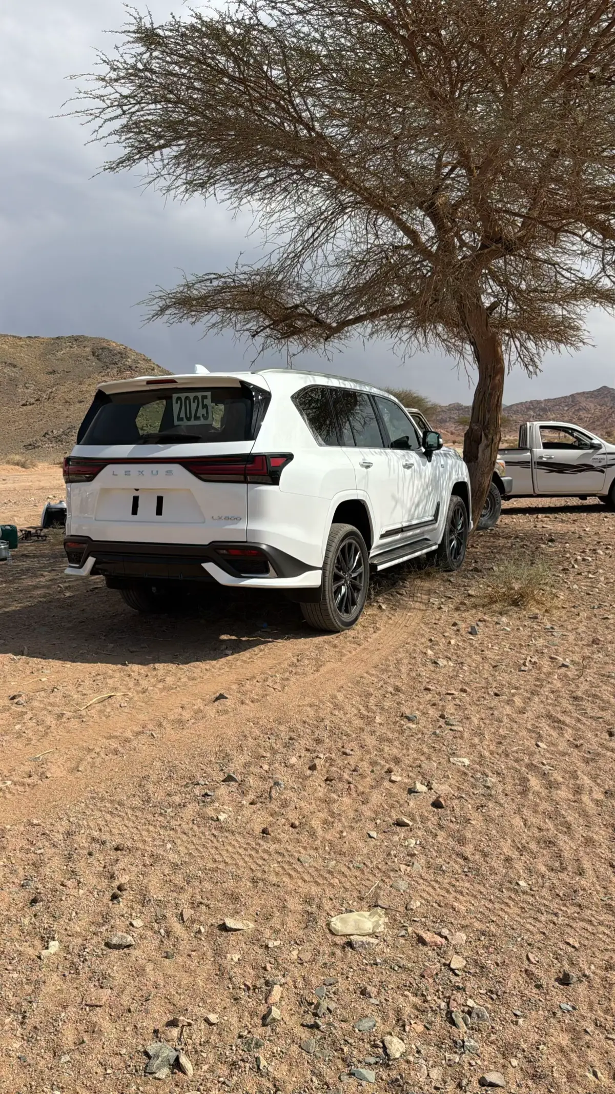 #fyp #4u #اكسبلورexplore #تبوك_حقل_البدع 