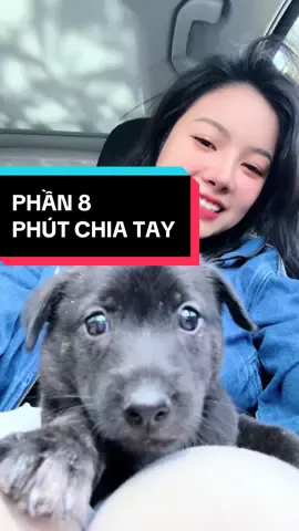 Trả lời @Trọng Nghĩa BC chia tay em Mực ❤️ #nhabedo 