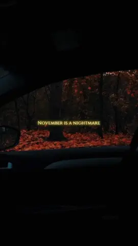 ..NOVEMBER🤎 #yoursxsoul #music #україна 