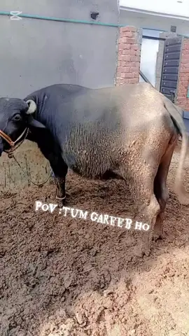 Farming aura🫷 #farmers#viraltiktok  #millionviews#farmerson🔝 #unfrezzmyaccount 