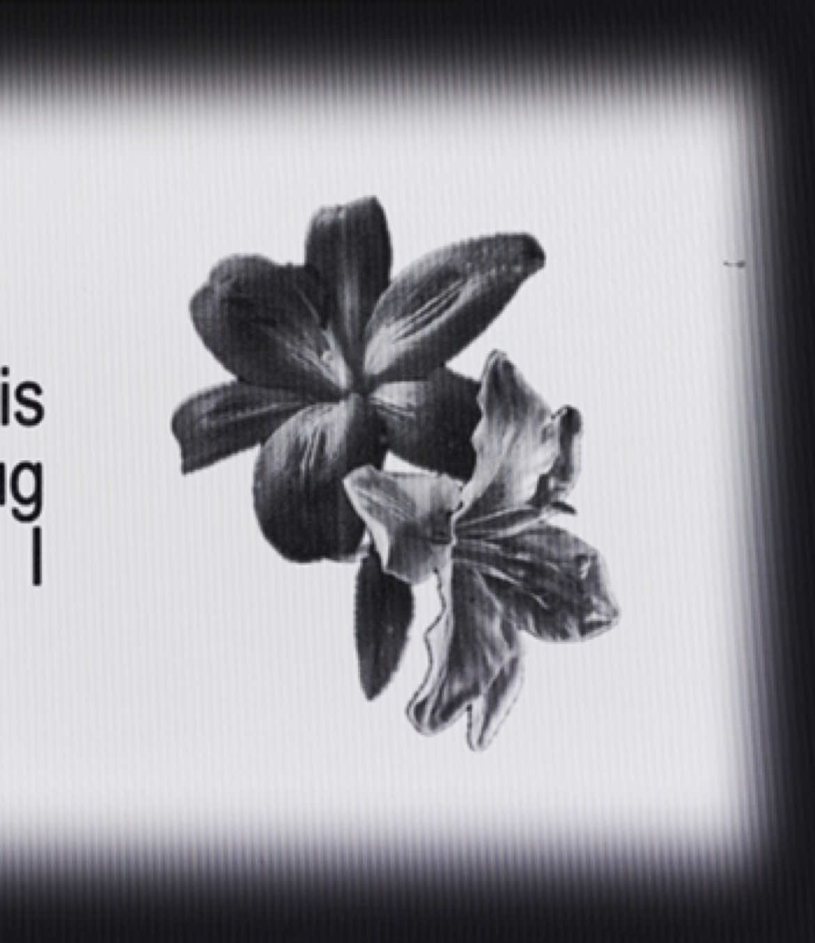 I got a taste of the glamorous life #addisonrae #audio #lypsync #tipografia #baddietiktok 