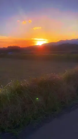 秋の季節になると何故か涼しい風が吹き、心地よい雰囲気を感じてしまうね。#田舎の秋が戻ってくる #JAPAN #夕日#fyp 