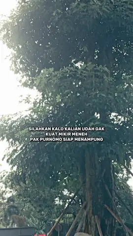 #CapCut pak purnomo siap nampung#trendingtiktok #storywa #semuaorang #fyp 