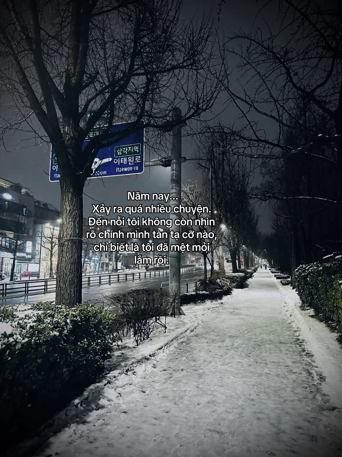 Năm nay...Xảy ra quá nhiều chuyện.Đến nỗi tôi không còn nhìn rõ chính mình tàn tạ cỡ nào, chỉ biết là tôi đã mệt mỏi lắm rồi.#TenTen🍁 #story #tâmtrạng #sttdoi 