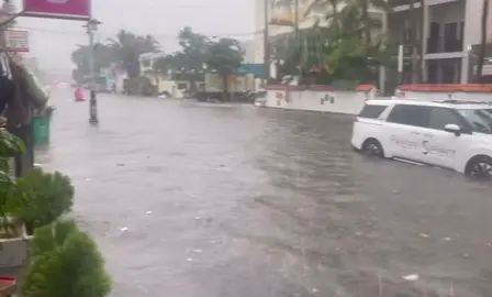 Ngã ba làng sen lúc này nước đang ngập, lên đường 706B đi nha cả nhà #muinephanthiet 