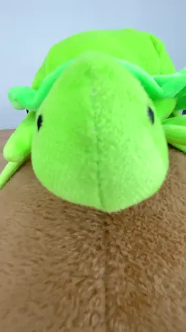 #foryou #pillows #tiktok #bear #capybara 