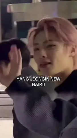 IM SCREAMINGGGG #fyp #dc #jeongin #IN #skz @Stray Kids 