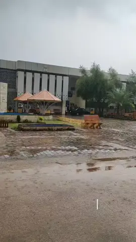 #كلية التربية للعلوم الصرفة – ابن الهيثم (جامعة بغداد)🥹🤍