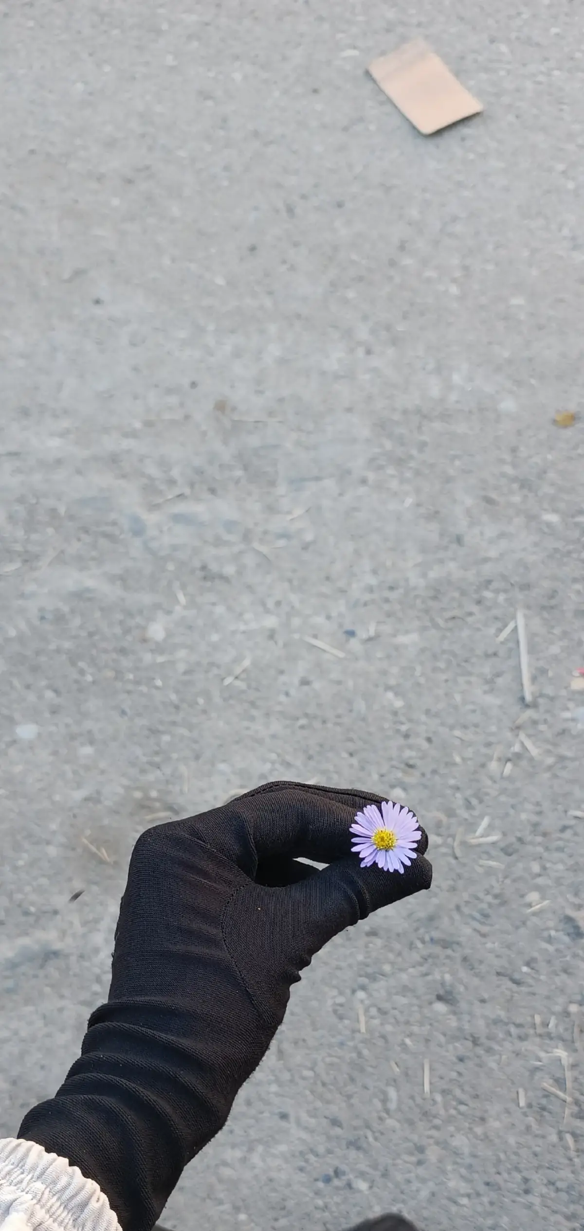 حبيت هالصور ♥️ #العراق #كركوك #السلف_الصالح #داقوق_مدينتي 