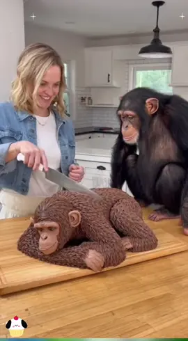 The owner cuts cake in front of their pet.#CakePrank #PetReaction #foryou #funny